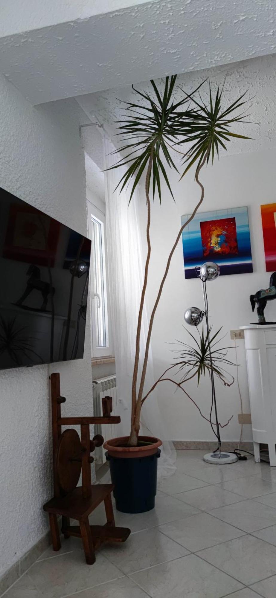Residenza Bertolini Apartment ฟอสดิโนโว ภายนอก รูปภาพ